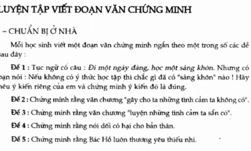 Luyện tập viết đoạn văn chứng minh