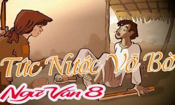nhan-de-tuc-nuoc-vo-bo-1