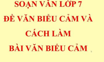soan-cach-lam-bai-van-bieu-cam