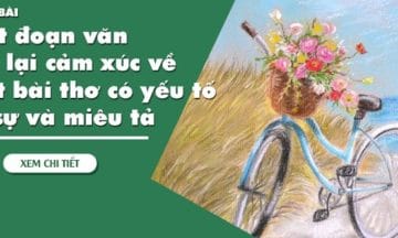 soan-van-tu-su-va-mieu-ta-de-2-1