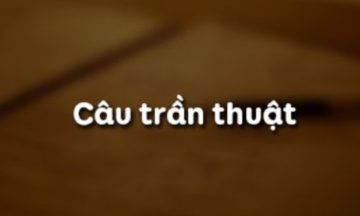cau-tran-thuat2